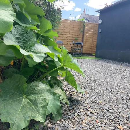 Apartman Avec Terrasse Et Parking Au Mans Le Mans