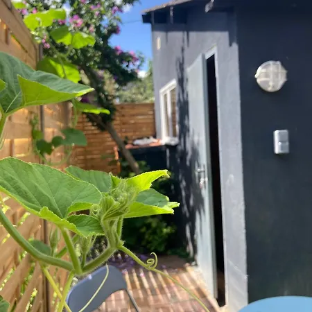 Avec Terrasse Et Parking Au Mans