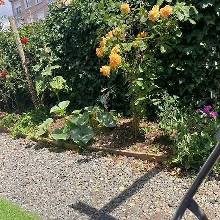 Avec Terrasse Et Parking Au Mans Lejlighed *