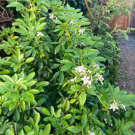 Avec Terrasse Et Parking Au Mans Διαμέρισμα