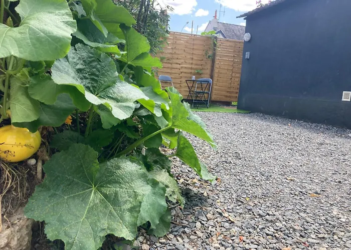 Apartman Avec Terrasse Et Parking Au Mans Le Mans