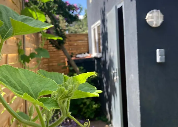 Avec Terrasse Et Parking Au Mans