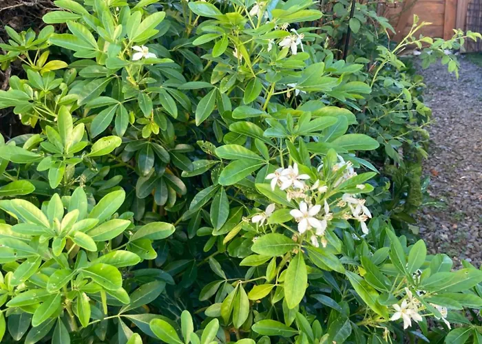 Avec Terrasse Et Parking Au Mans Apartman