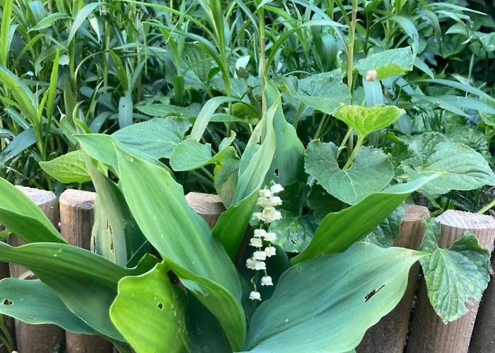 Apartament Avec Terrasse Et Parking Au Mans Le Mans