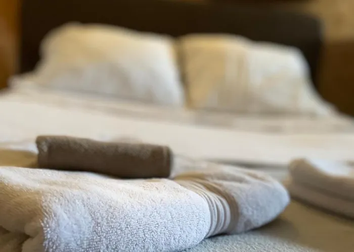 Apartman Avec Terrasse Et Parking Au Mans